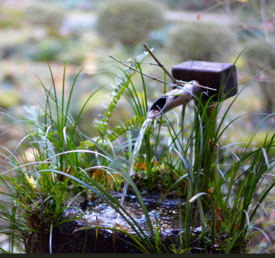 Water Feature Japaneese-inspired metal water feature surrounded by soft grasses reflecting light in a quiet Napanee garden.